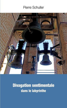 Divagation Sentimentale: Dans Le Labyrinthe (French Edition)
