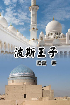 Prince Of Persia: ???? (Chinese Edition)