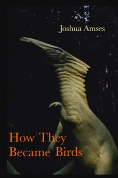 How They Became Birds How They Became Birds