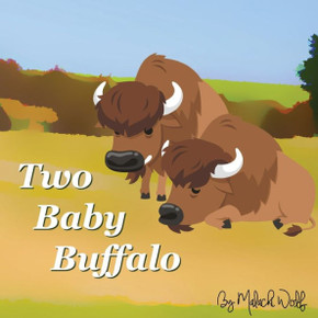 Two Baby Buffalo