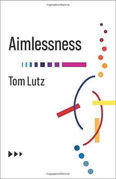 Ailessness (No Limits) - Paperback Ailessness (No Limits) - Paperback