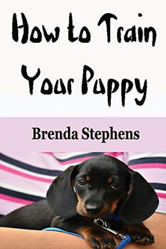 How to Train Your Puppy How to Train Your Puppy