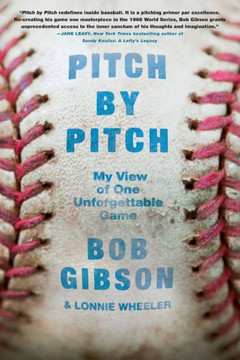 Pitch by Pitch: My View of One Unforgettable Game