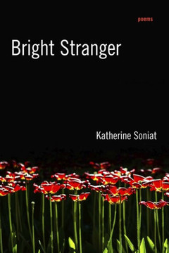 Bright Stranger: Poems Bright Stranger: Poems