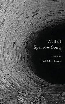 Well Of Sparrow Song