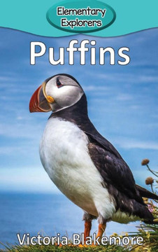 Puffins Puffins