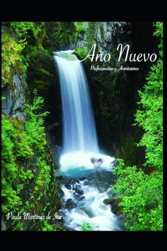 Año Nuevo (Spanish Edition)
