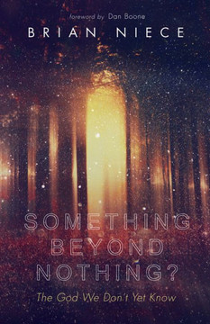 Something Beyond Nothing?: The God We Don?T Yet Know