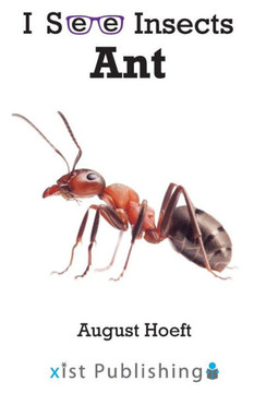 Ant (I See Insects) - 9781532441387