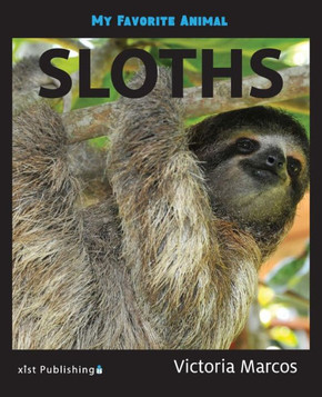 My Favorite Animal: Sloths