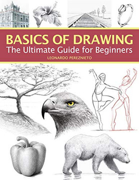 Basics Of Drawing: The Ultimate Guide For Beginners
