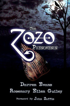 The Zozo Phenomenon The Zozo Phenomenon