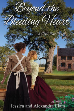 Beyond The Bleeding Heart: A Tale Of The American Civil War