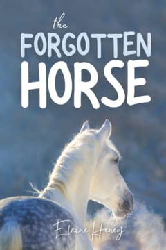 The Forgotten Horse - Book 1 in the Connemara Horse Adventure Series for Kids. The perfect gift for children age 8-12.