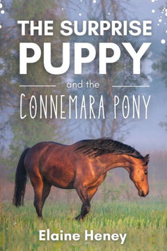The Surprise Puppy And The Connemara Pony - The Coral Cove Horses Series (Coral Cove Horse Adventures For Girls And Boys)