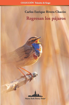 Regresan Los P?jaros (Colecci?n Tr?nsito De Fuego) (Spanish Edition)
