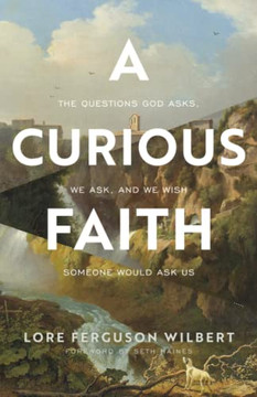 A Curious Faith: The Questions God Asks, We Ask, And We Wish Someone Would Ask Us