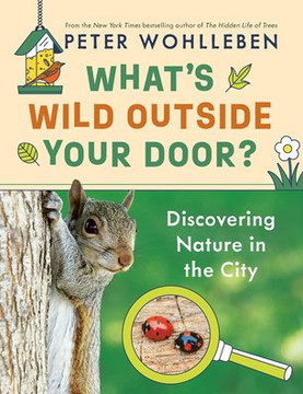 What's Wild Outside Your Door?: Discovering Nature In The City