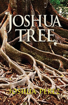 Joshua Tree - 9781614934615