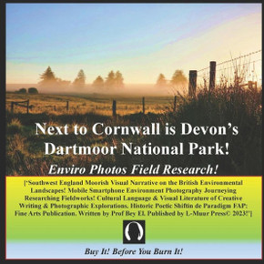 Next to Cornwall is Devon's Dartmoor National Park: Enviro Photos Field Research