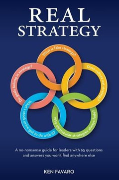 Real Strategy: A no-nonsense guide for leaders with 65 questions and answers you won't find anywhere else