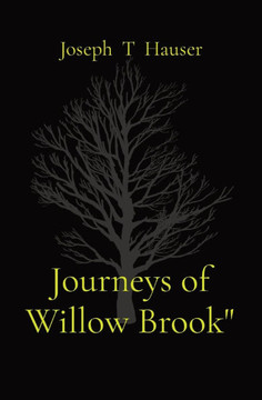 Journeys of Willow Brook"" - Large Print
