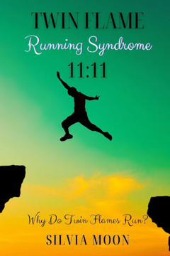 11: 11: The Running Twin Soul Syndrome