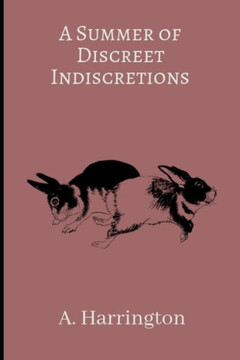 A Summer of Discreet Indiscretions: Book 2 of Discreet Indiscretions