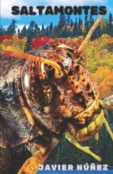 Saltamontes