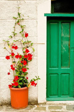 Short Story Collection: Volume 1