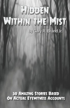 Hidden Within The Mist