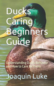 Ducks Caring Beginners Guide: Understanding Ducks Behavior and How to Care for them