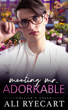 Meeting Mr. Adorkable: MM Small Town Romance (Collier's Creek)