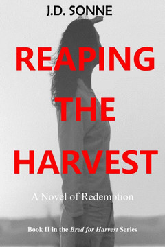 Reaping the Harvest: A Novel of Redemption