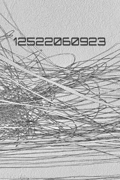 12522060923: String Theory
