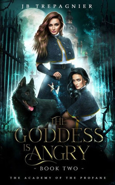 The Goddess is Angry: A Why Choose Academy Romance
