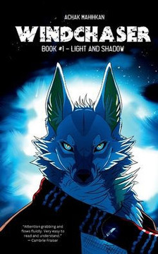 Windchaser - Book #1: Light And Shadow
