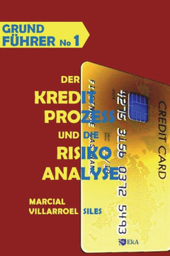 GRUNDFÜHRER Der Kreditprozess und die Risikoanalyse (Analyse des Risikos im Kredit) (German Edition)