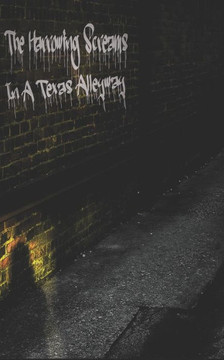 The Harrowing Screams in a Texas Alleyway