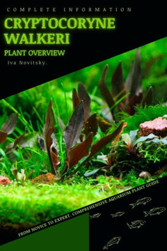 Cryptocoryne Walkeri: From Novice to Expert. Comprehensive Aquarium Plants Guide