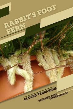 Rabbit's Foot Fern: Closed terrarium, Beginner's Guide