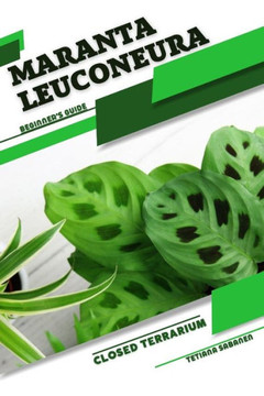 Maranta leuconeura: Closed terrarium, Beginner's Guide Maranta leuconeura: Closed terrarium, Beginner's Guide