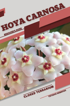 Hoya carnosa: Closed terrarium, Beginner's Guide Hoya carnosa: Closed terrarium, Beginner's Guide