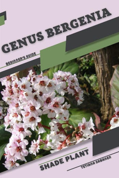 Genus Bergenia: Shade plant Beginner's Guide