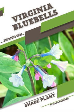 Virginia Bluebells: Shade plant Beginner's Guide
