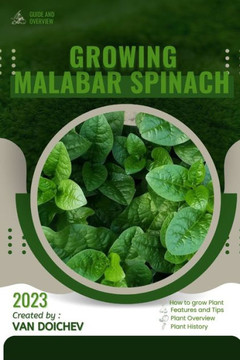 Malabar Spinach: Guide and overview