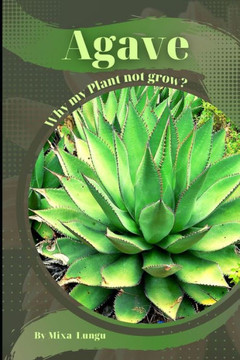Agave: Why my Plant not grow? problems and their solutions
