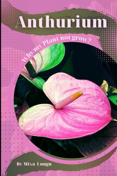 Anthurium: Why my Plant not grow? problems and their solutions