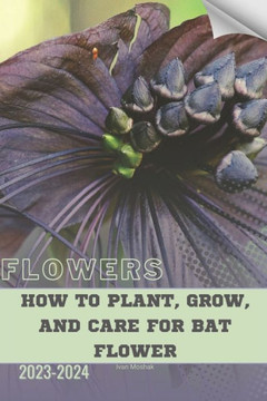 How to Plant, Grow, and Care for Bat Flower: Become flowers expert