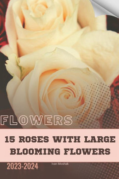 15 Roses With Large Blooming Flowers: Become flowers expert
